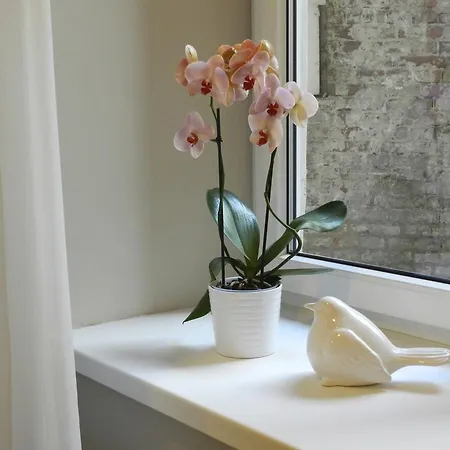 Appartement Inkrak Old Town *